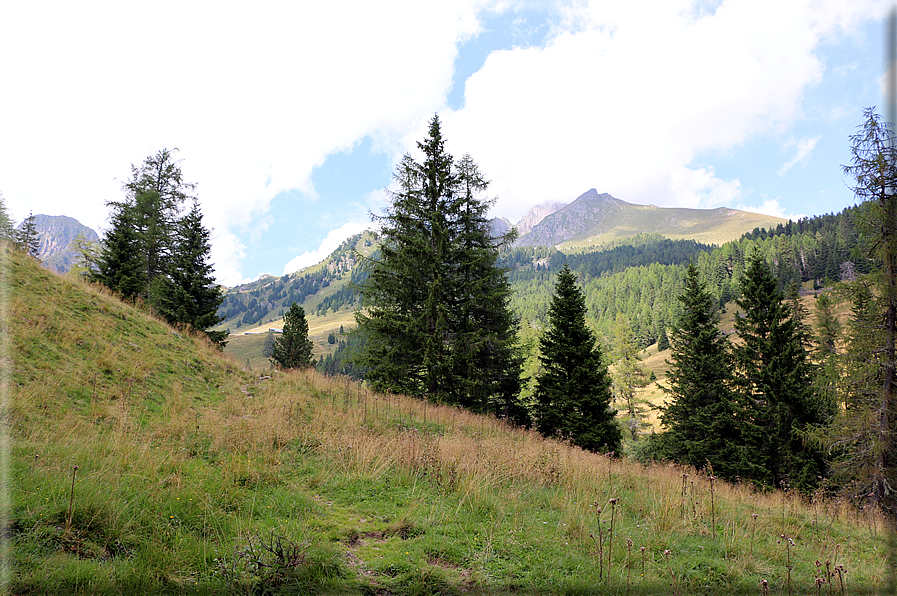 foto Da Forcella Montalon a Val Campelle